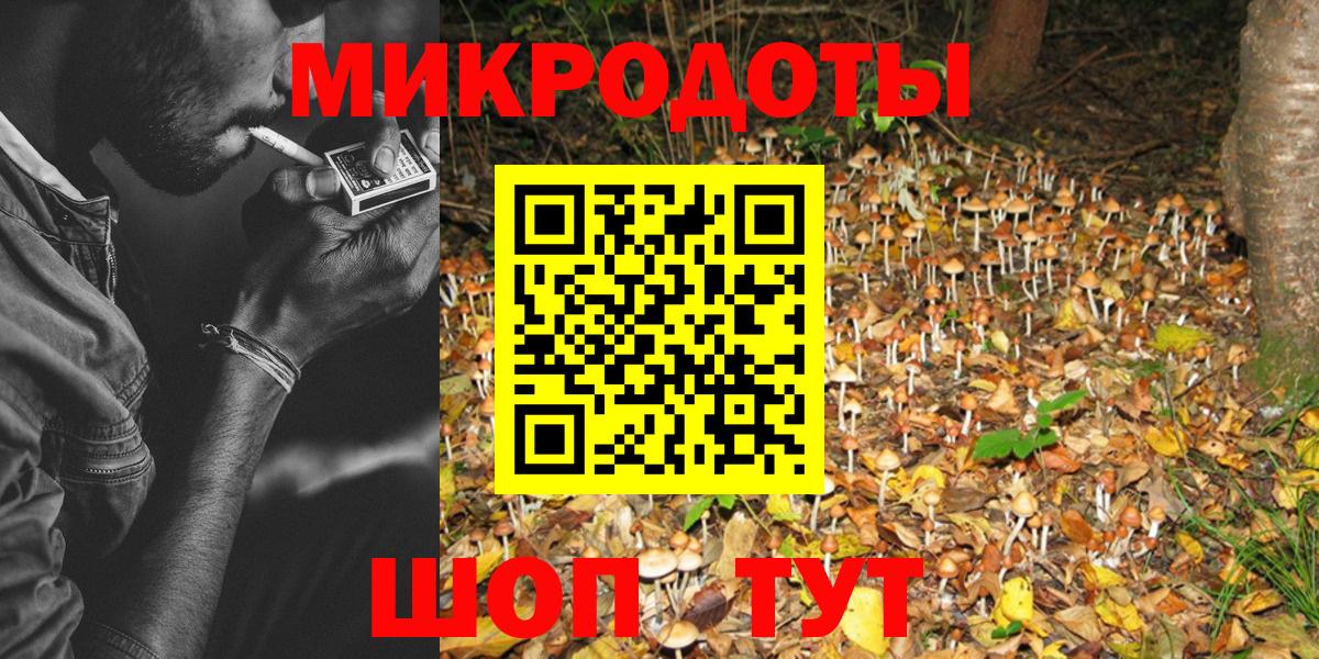 дарнет шоп  Галлюциногенные грибы GOLDEN TEACHER  Вход с VPN  Кинель 